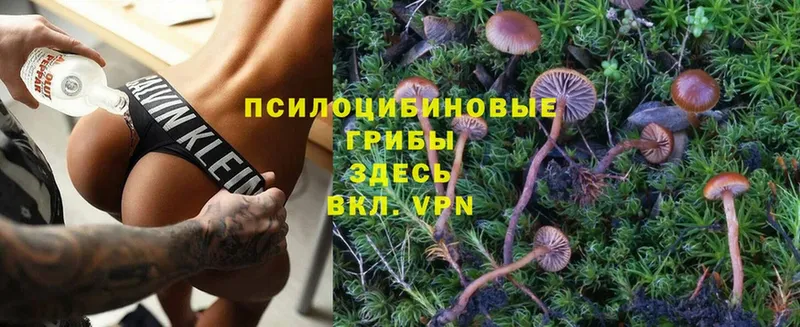 Псилоцибиновые грибы Magic Shrooms  продажа наркотиков  это телеграм  Сосновка 